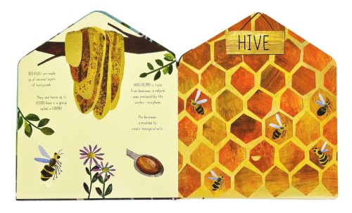 książka kartonowa z okienkami.jpg